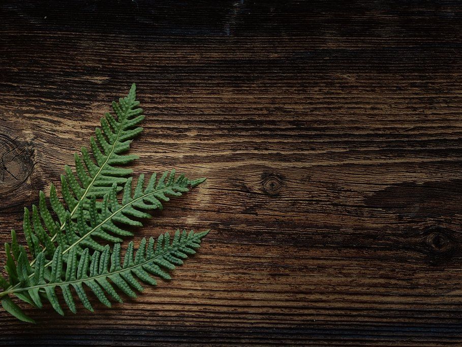 pressing ferns